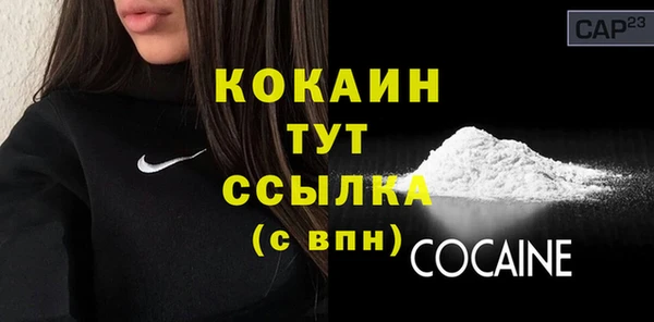 соль ск Богородицк