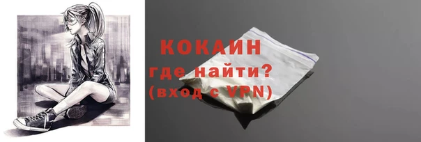 соль ск Богородицк