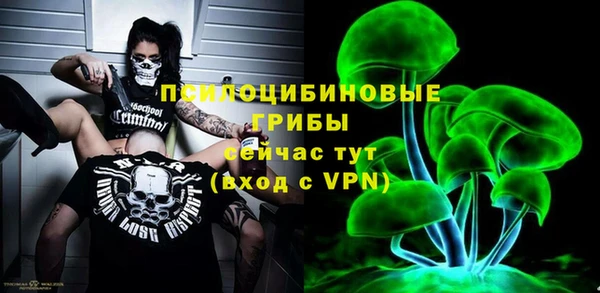a pvp Богданович