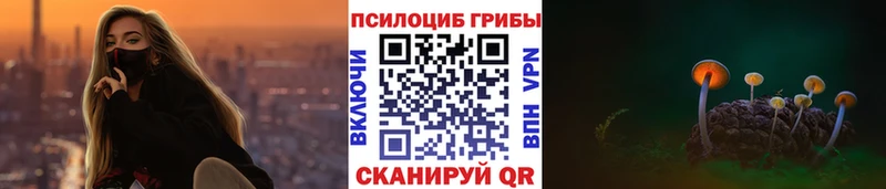 цена наркотик  Дальнегорск  Псилоцибиновые грибы Cubensis 