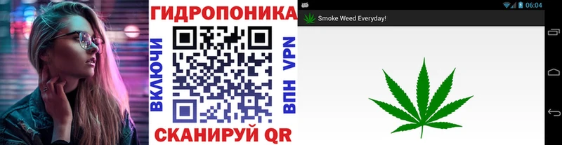 кракен tor  купить наркоту  Дальнегорск  МАРИХУАНА OG Kush 